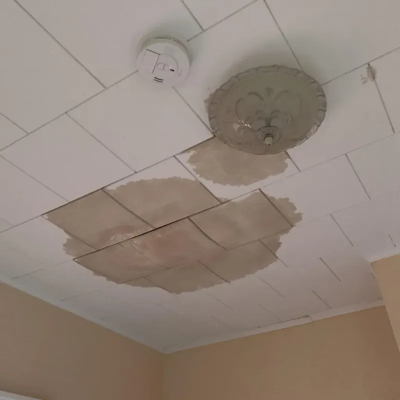 Ceiling Water Damage Repair in Sienna Plantation, TX